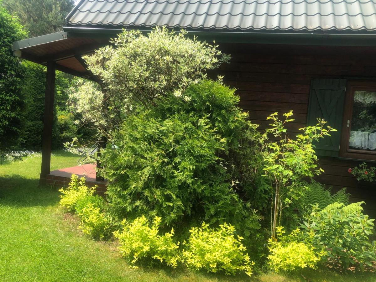 Dom Z Bali Villa Bajkowy Dom Dzwierzuty 外观 照片