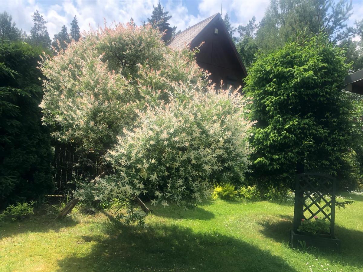 Dom Z Bali Villa Bajkowy Dom Dzwierzuty 外观 照片